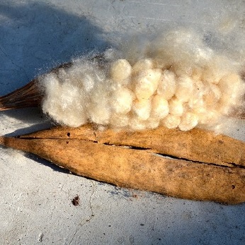 silk cotton mattress